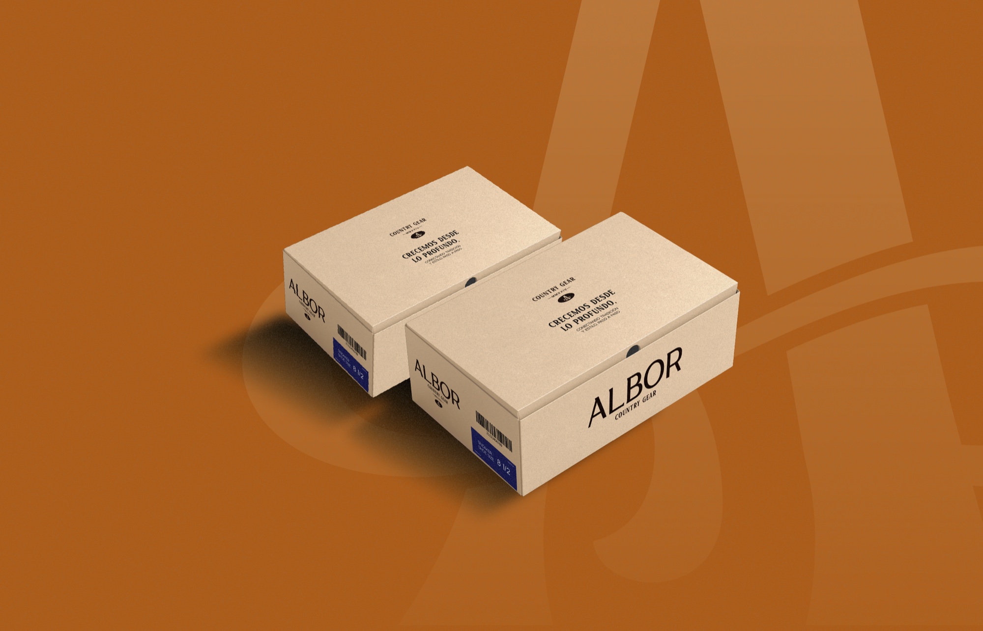 Albor — 5