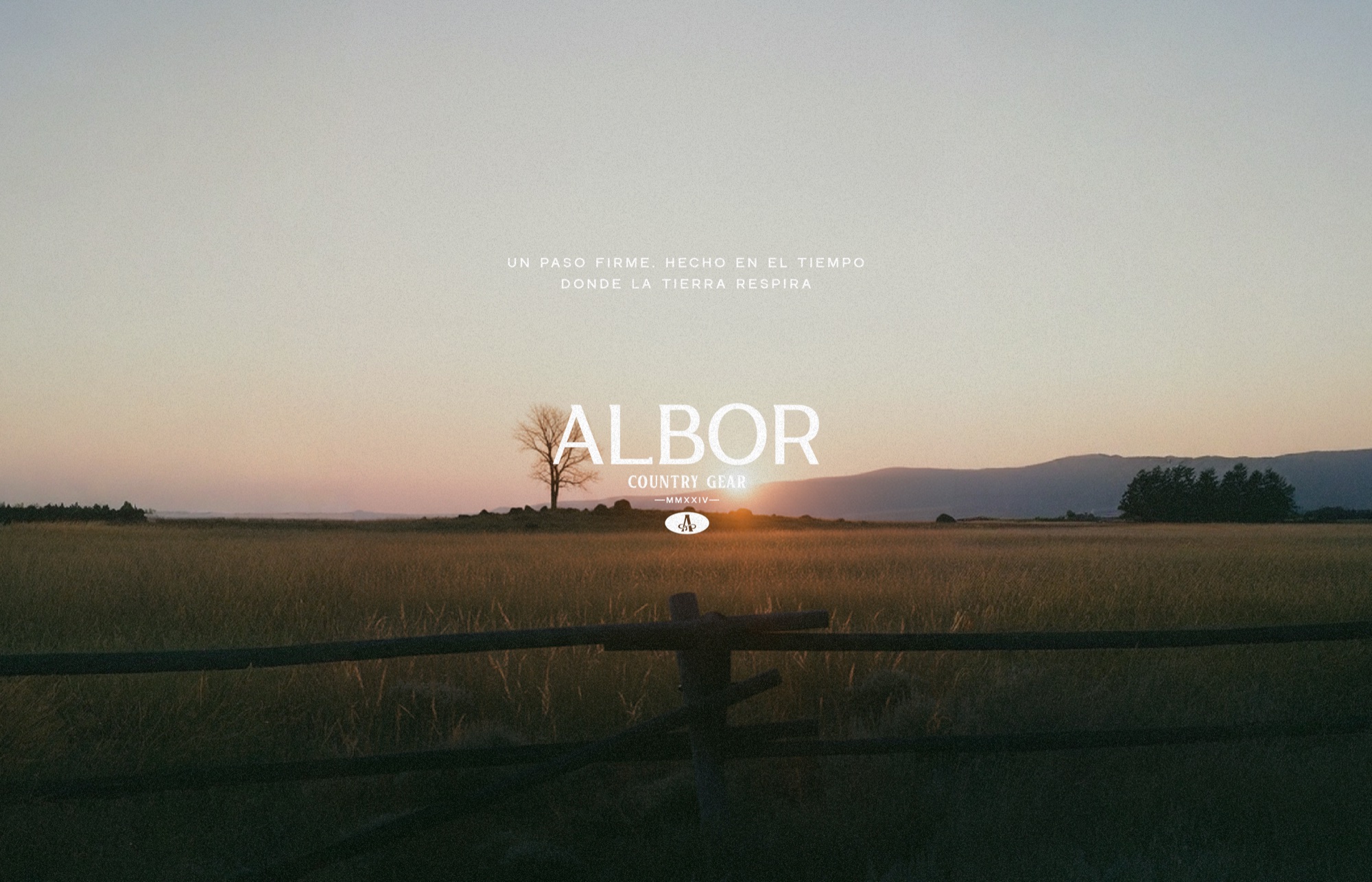 Albor